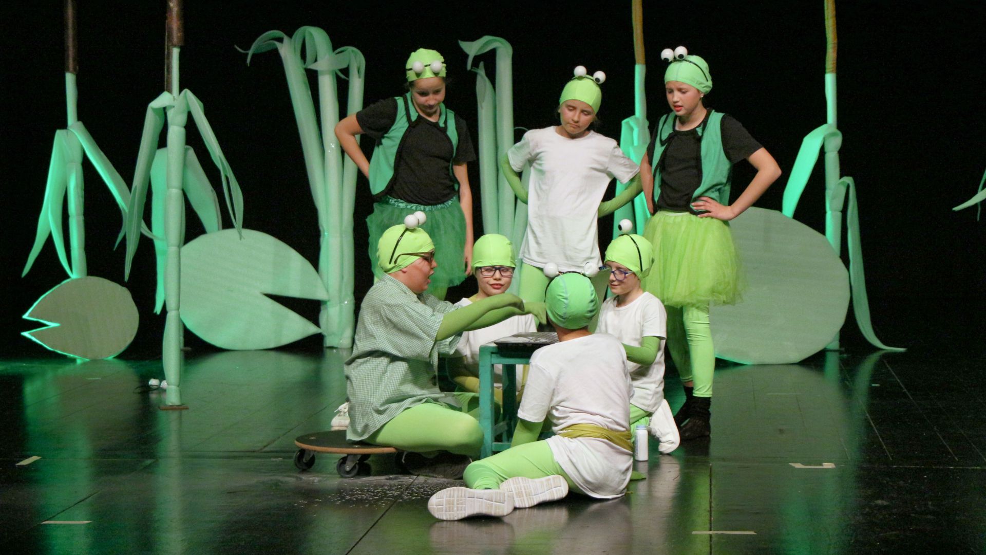 Fensi šmensi žabice