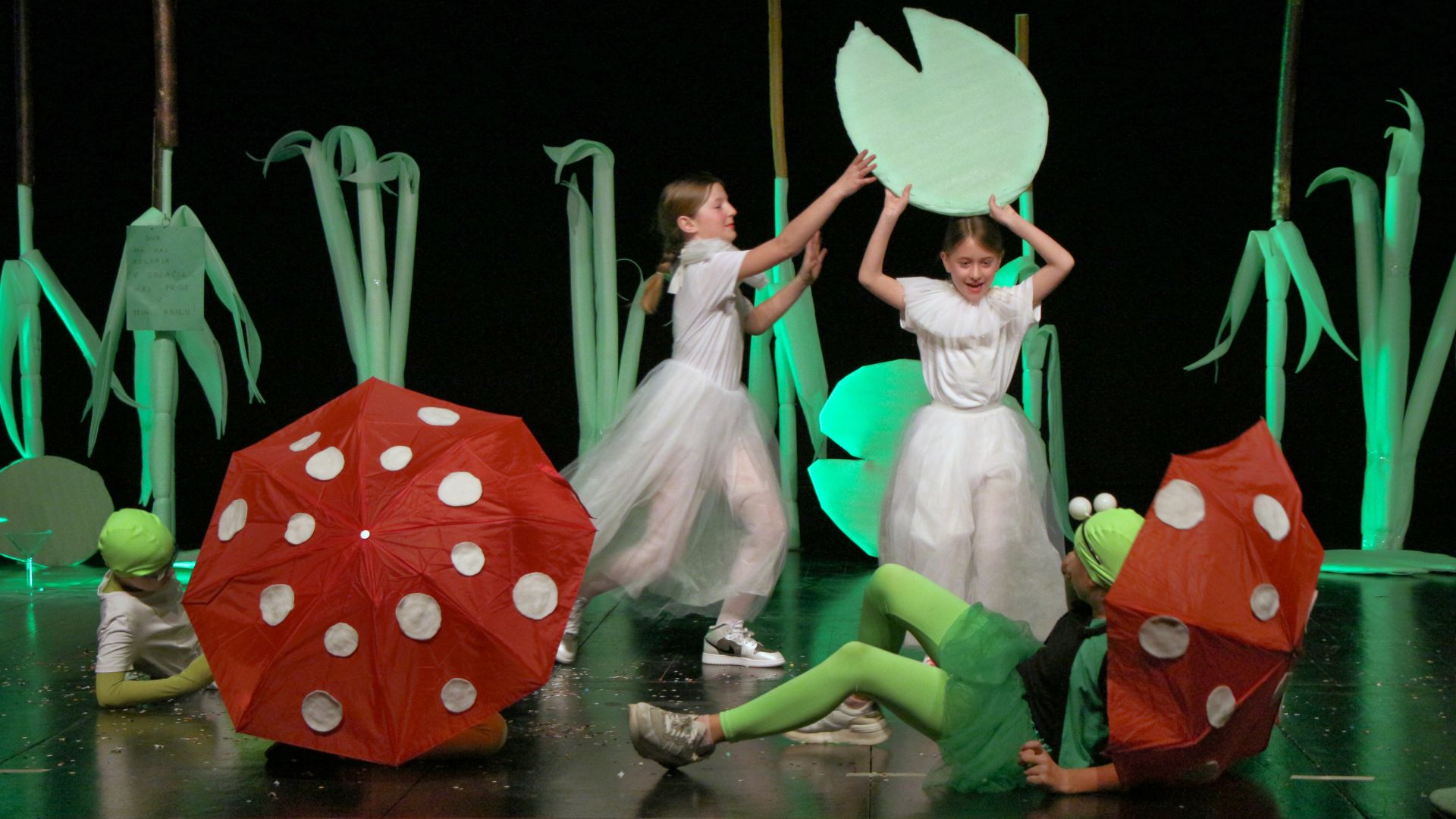 Fensi šmensi žabice